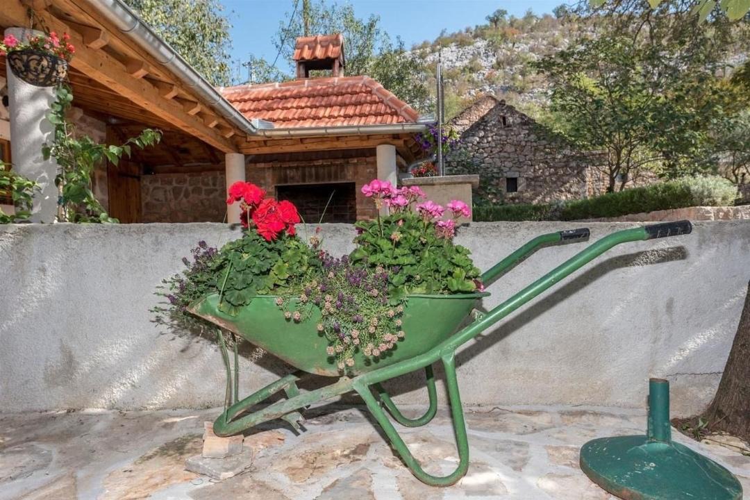 Photo of Others in Starigrad