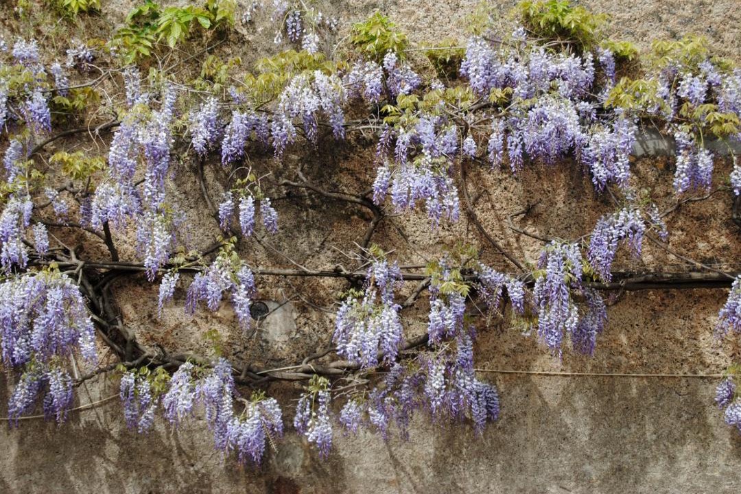 Photo of Others in Brinay