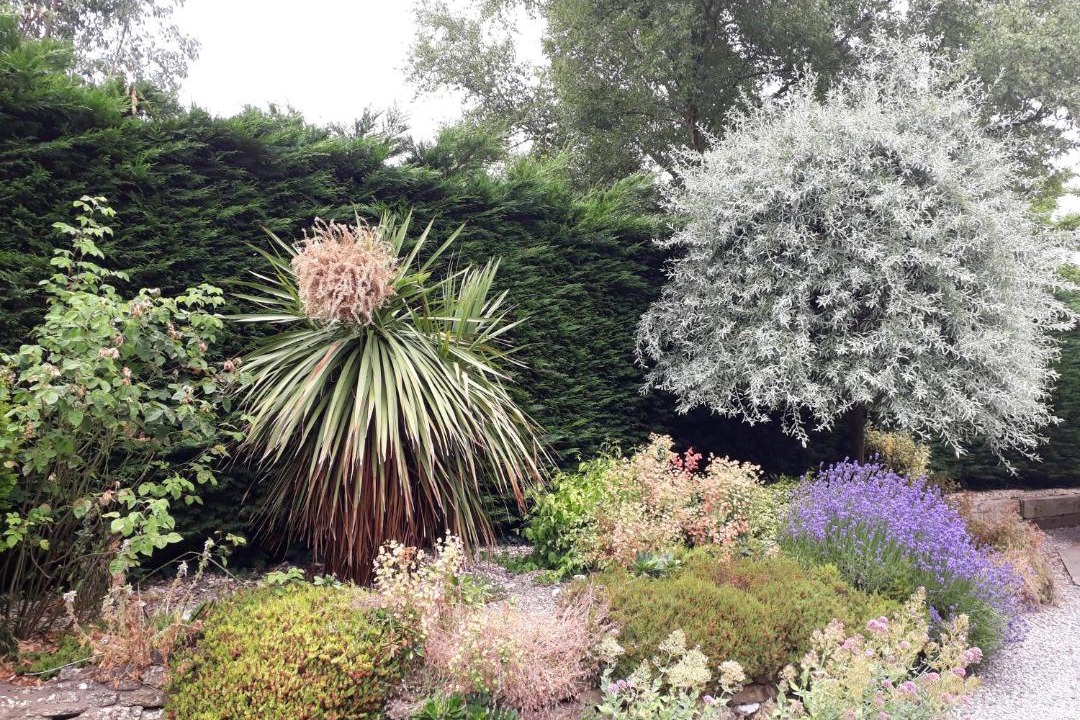 Photo of Outdoor in Alweston