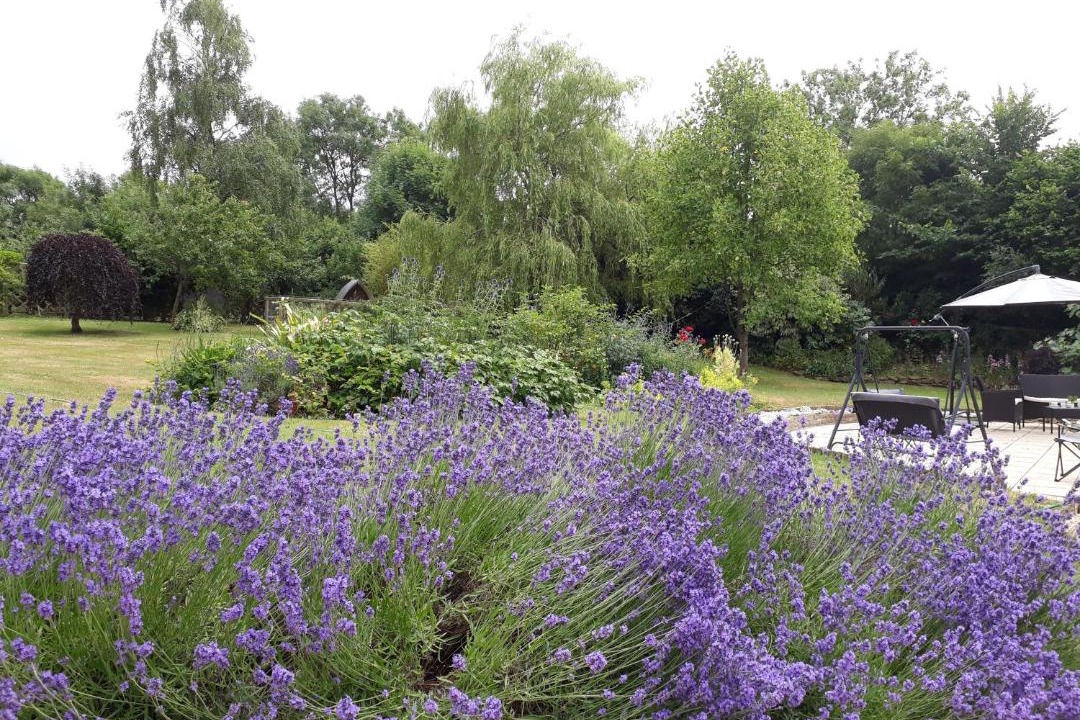 Photo of Others in Alweston