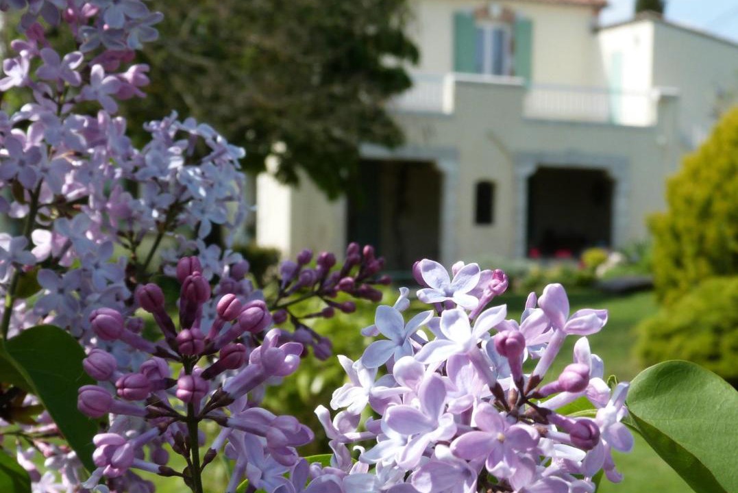 Photo of Others in Pinel-Hauterive