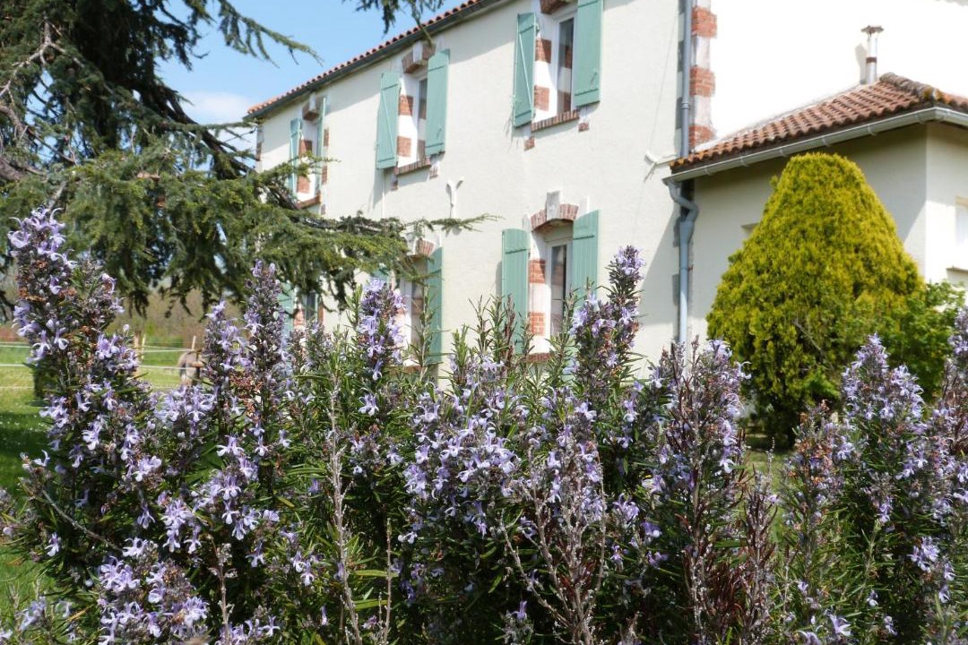 Photo of Others in Pinel-Hauterive