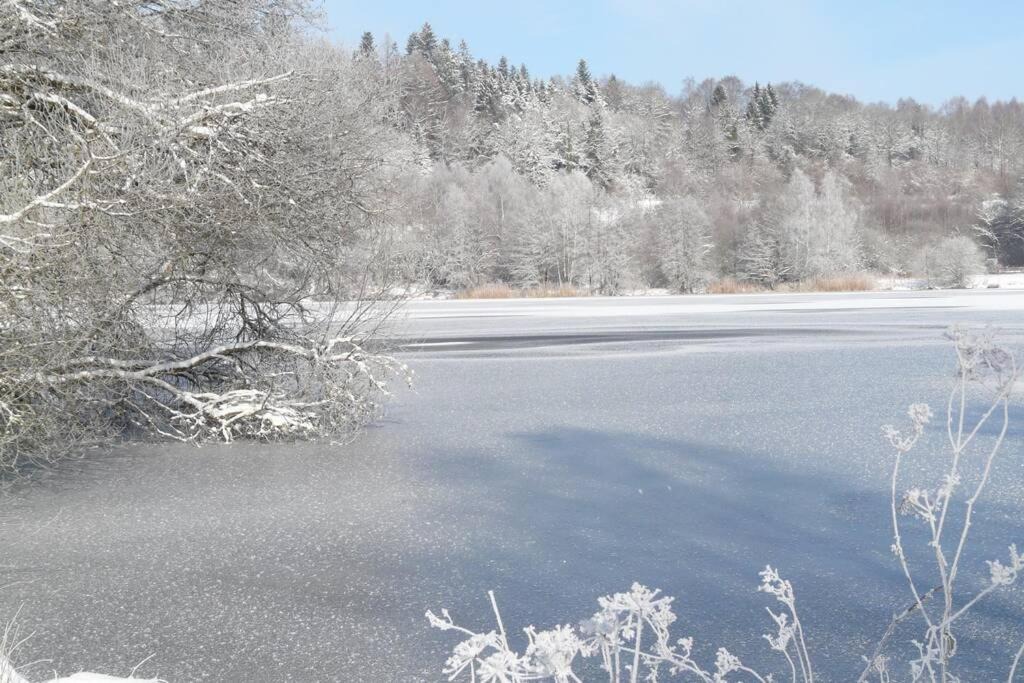 Photo of Others in Saulieu