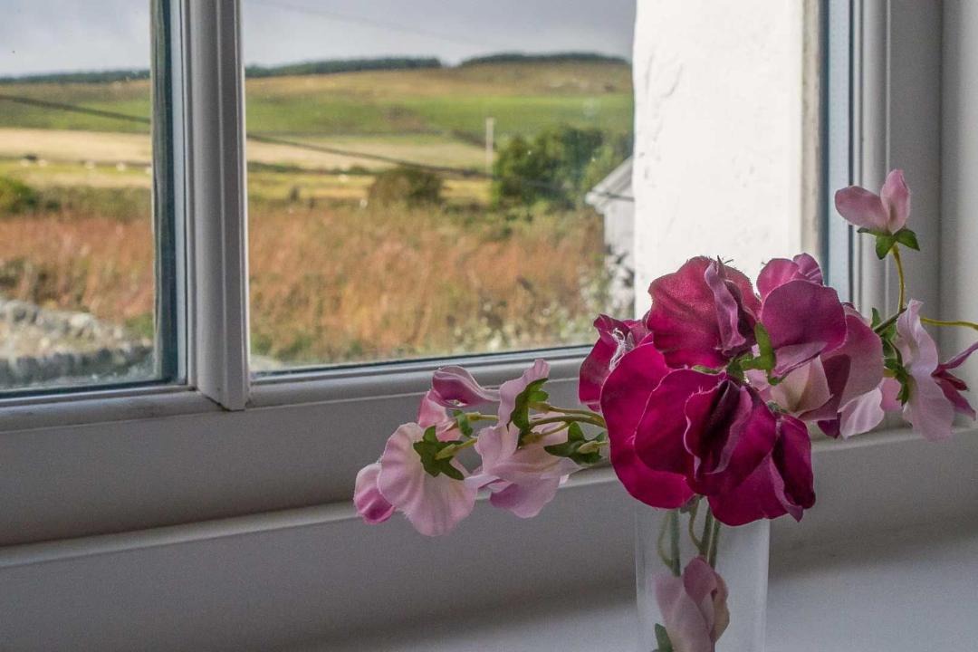 Photo of Others in Port Charlotte