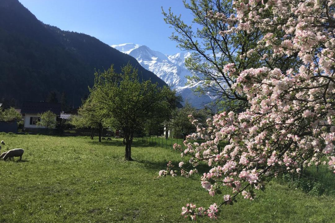 Photo of Others in Plateau-d'Assy