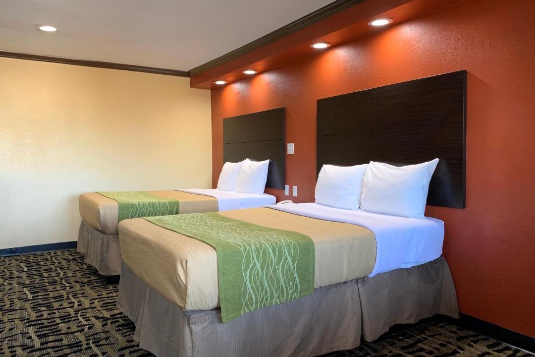 Photo of Others in Marion