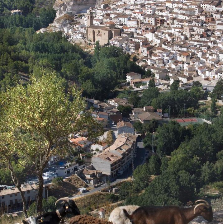 Photo of Others in Alcala del Jucar