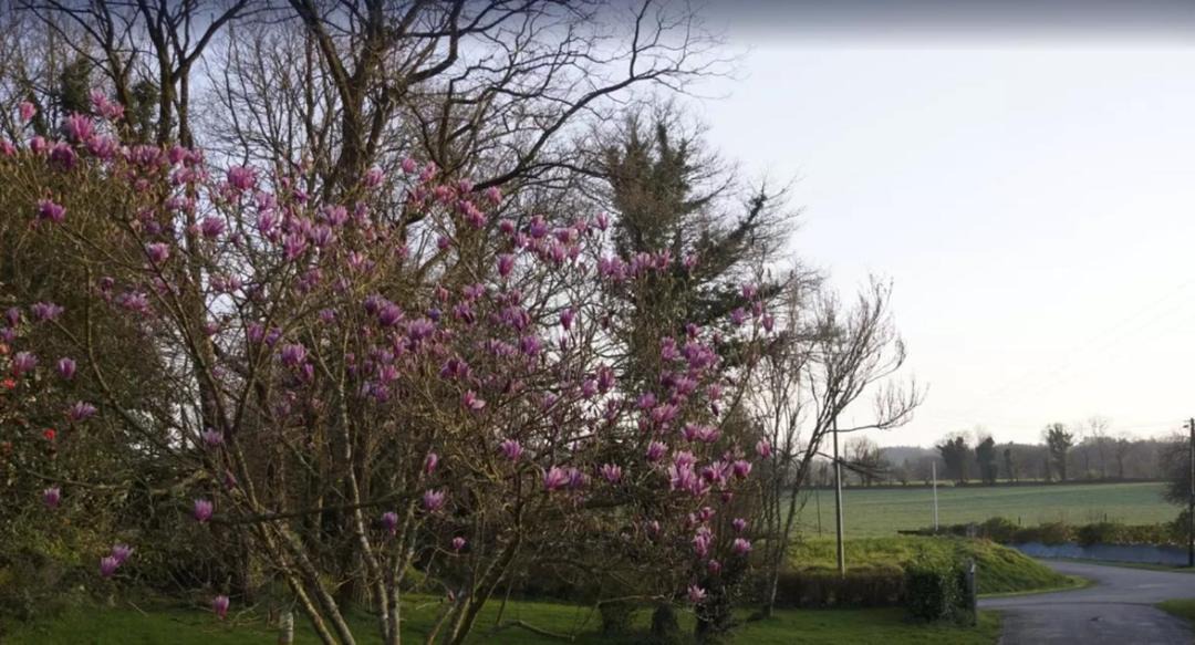 Photo of Others in Mellionnec