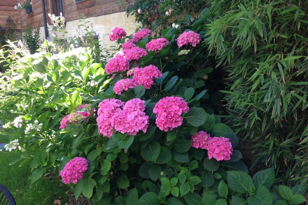 Photo of Others in Madeleine - Saint-Leonard