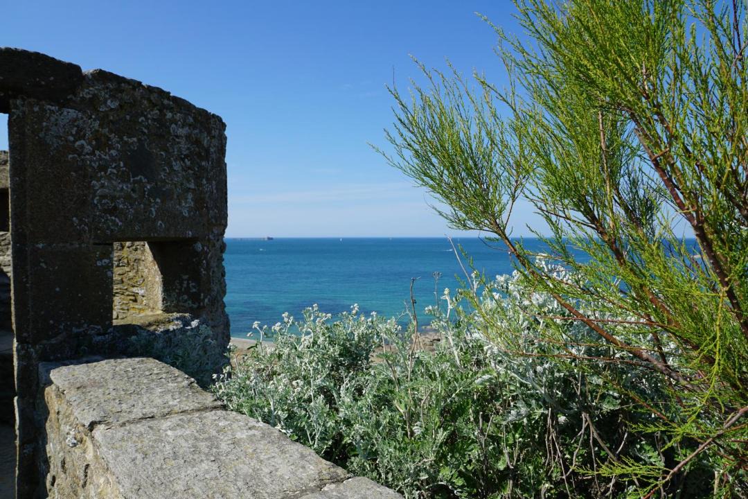Photo of Others in Saint-Jouan-des-Guerets