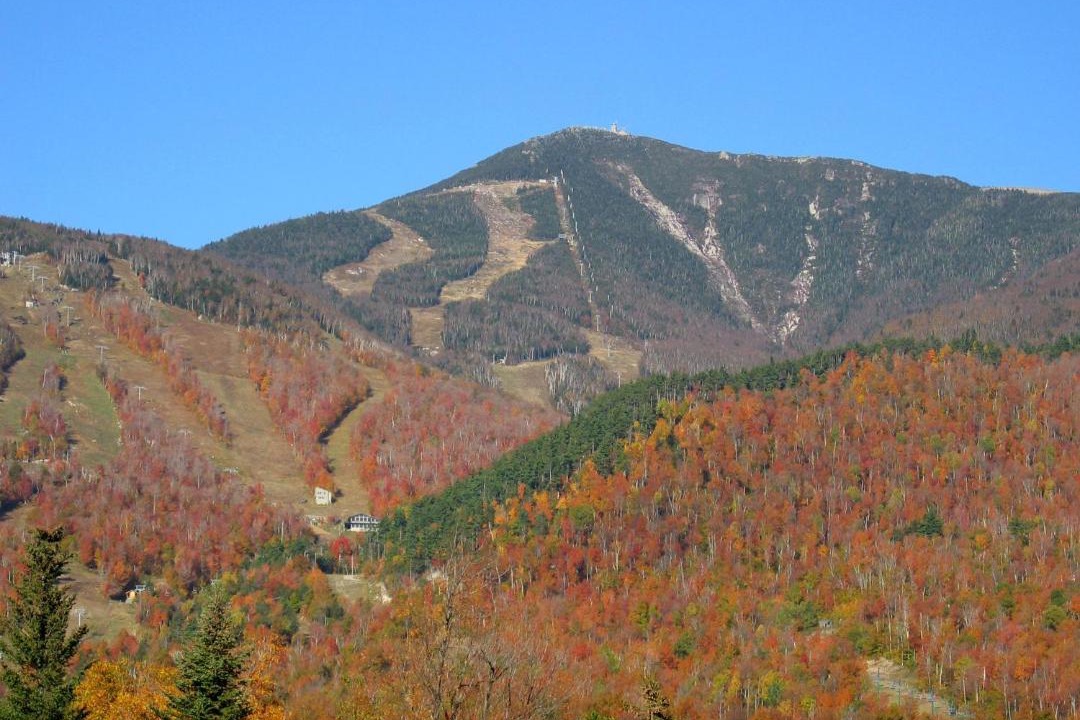 Photo of Others in Wilmington