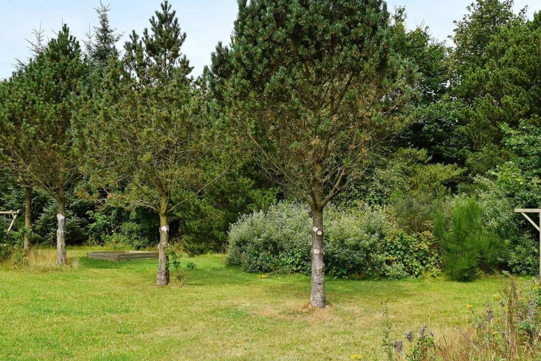 Photo of Outdoor in Øby