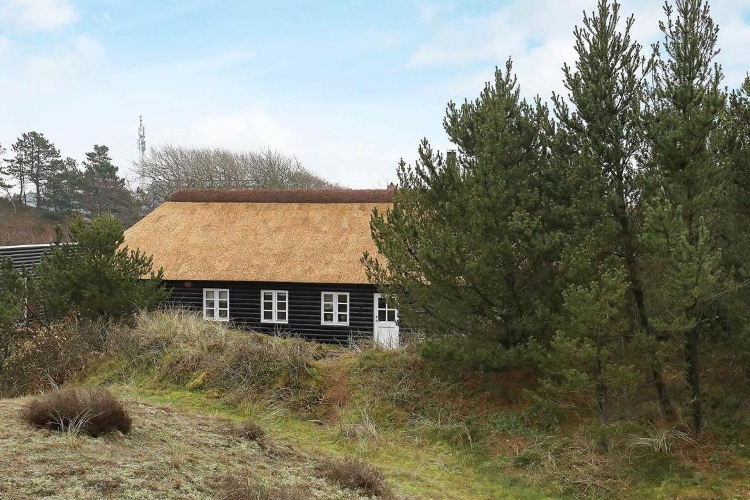 Photo of Buildings in Blavand