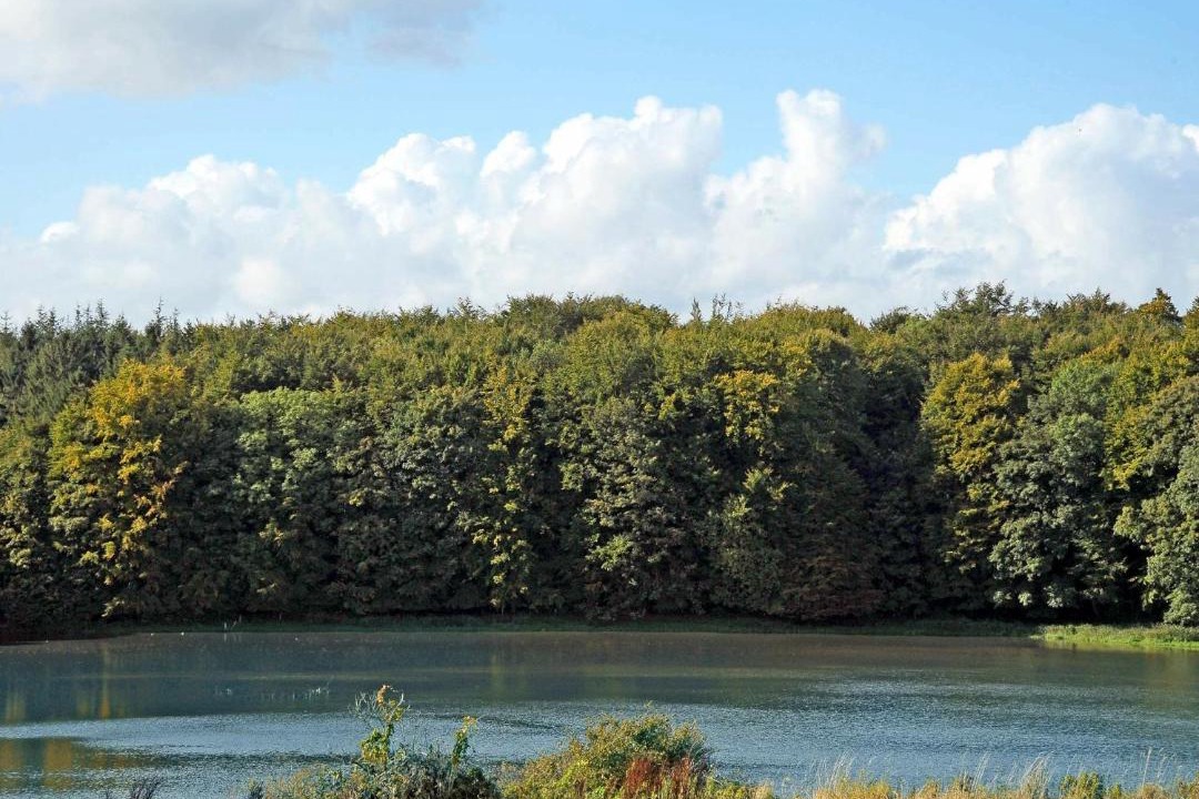 Photo of Outdoor in Aabenraa