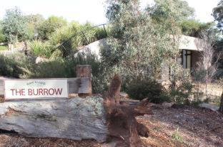 Photo of Others in Sarsfield