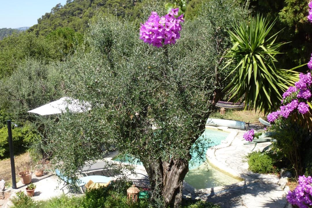 Photo of Others in L'Escarene