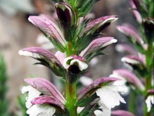 Photo of Outdoor in Krondorf