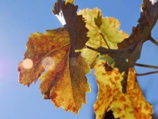 Photo of Others in Krondorf