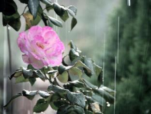 Photo of Others in Krondorf