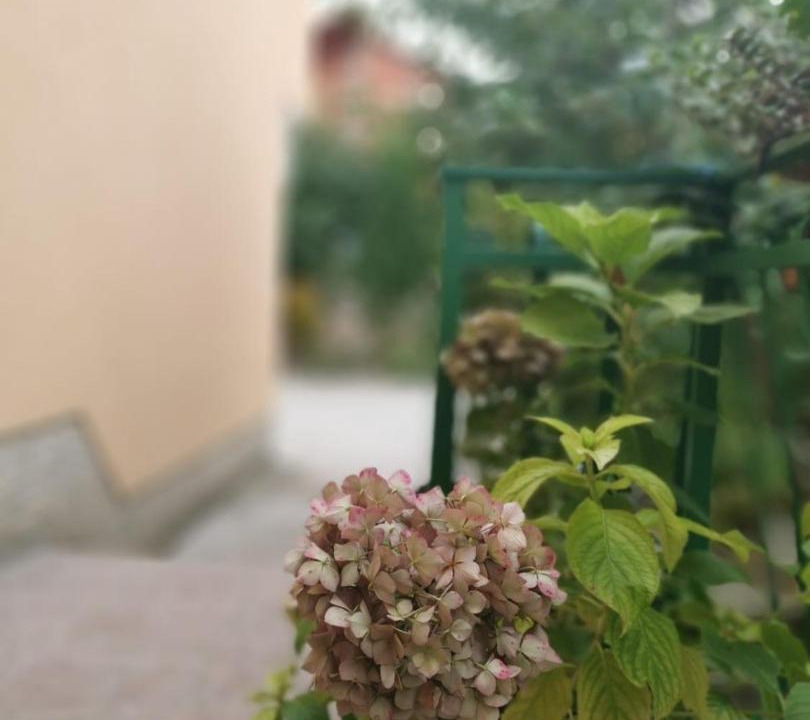 Photo of Others in Sibenik
