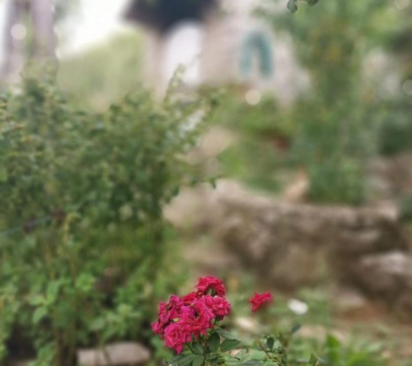 Photo of Others in Sibenik