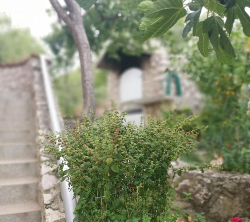 Photo of Others in Sibenik