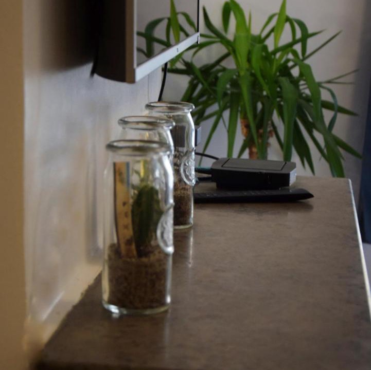 Photo of Others in Moliere Vauban