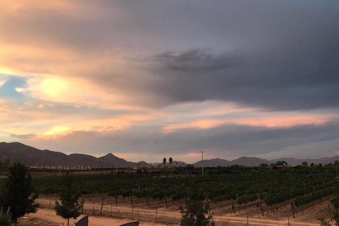 Photo of Others in Valle de Guadalupe