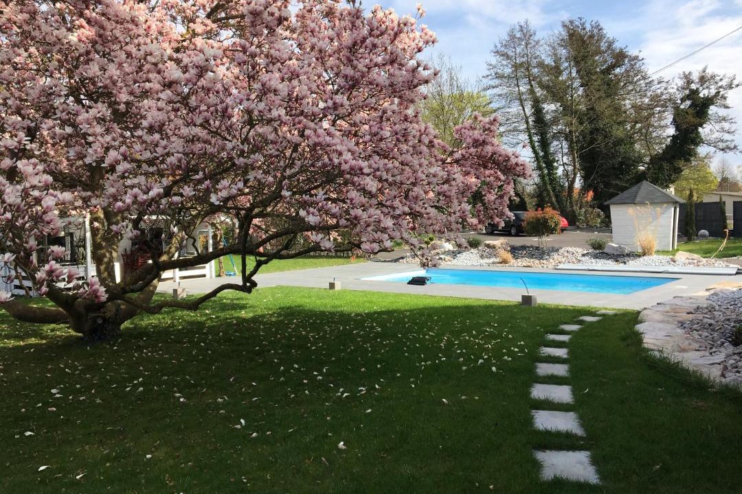 Photo of Others in Ensisheim