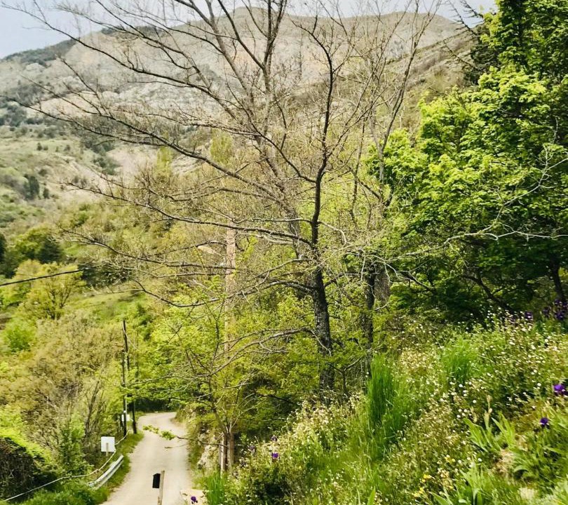 Photo of Others in La Robine-sur-Galabre