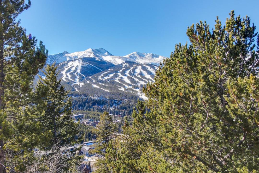 Photo of Others in Dillon