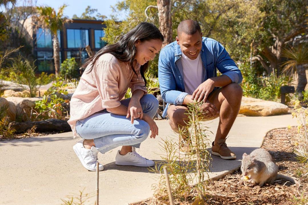 Photo of Outdoor in Mosman