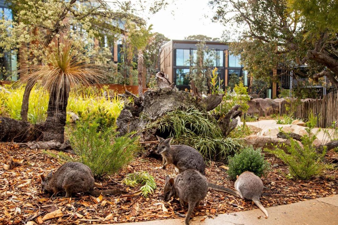 Photo of Others in Mosman