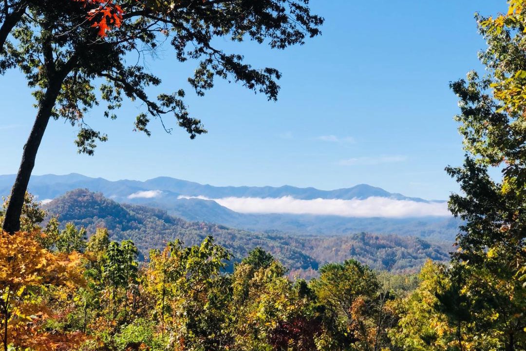 Photo of Others in Bryson City