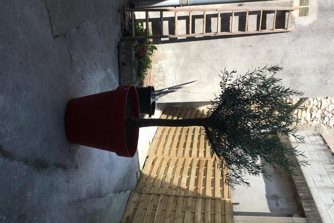 Photo of Others in Bourg-Saint-Andeol