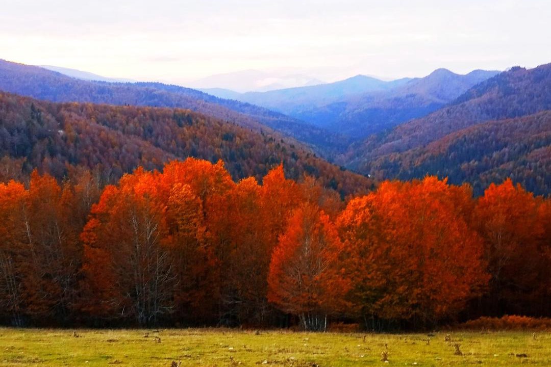 Photo of Outdoor in Roncal - Erronkari