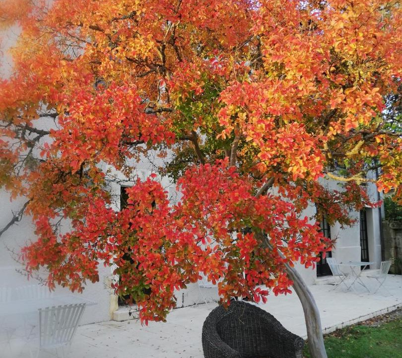 Photo of Others in Brantome-en-Perigord
