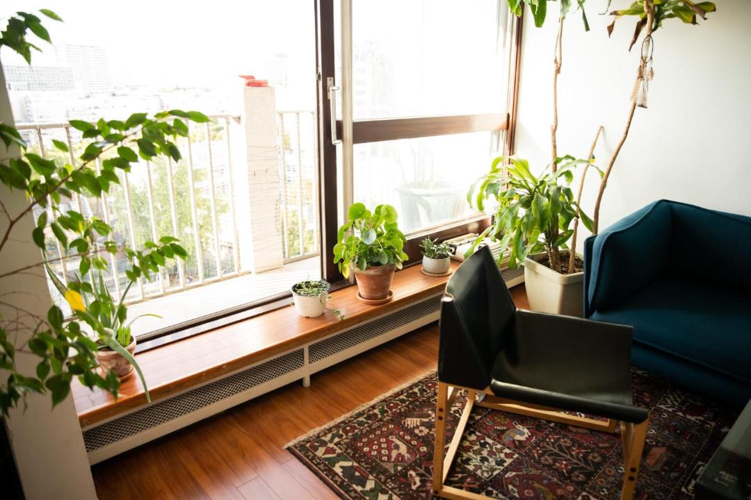 Photo of Livingroom in Quartier de Javel