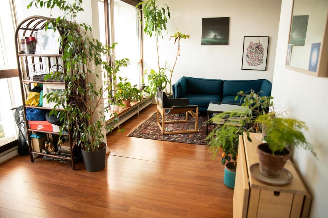 Photo of Livingroom in Quartier de Javel