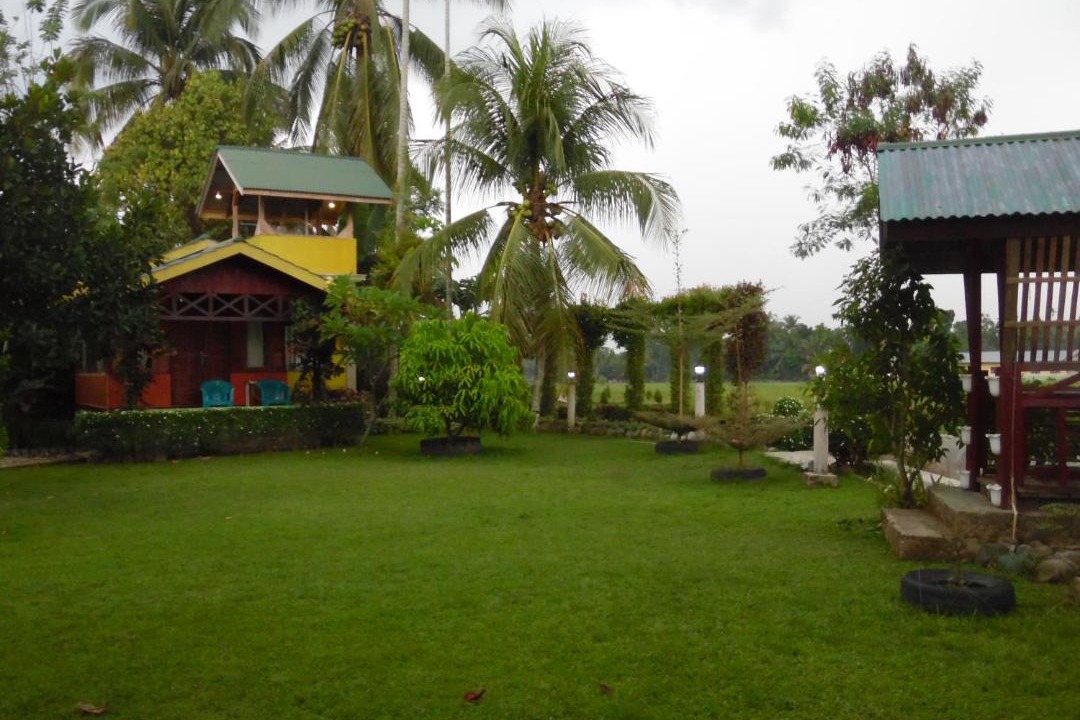 Photo of Others in Bohorok