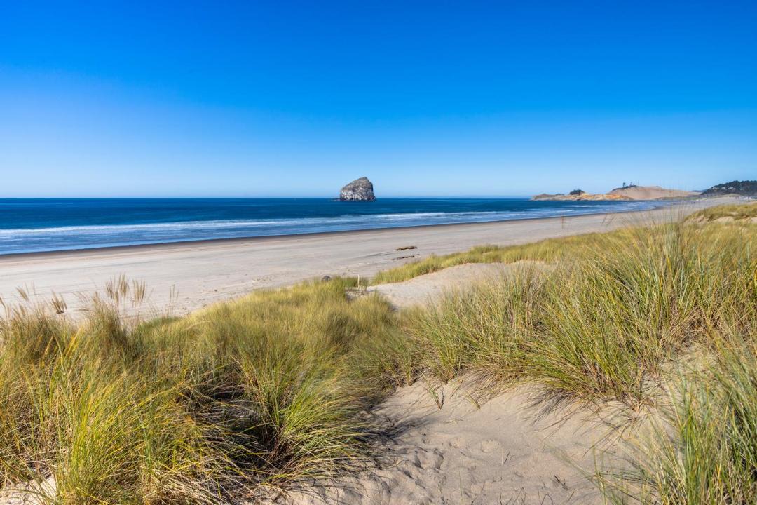 Photo of Others in Pacific City