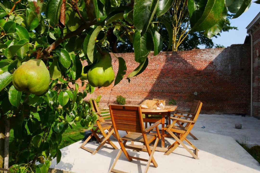 Photo of Others in Boussieres-en-Cambresis