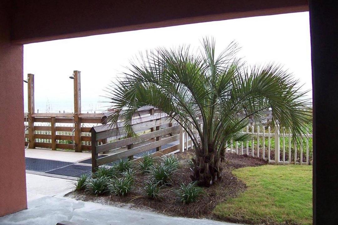 Photo of Others in Gulf Shores