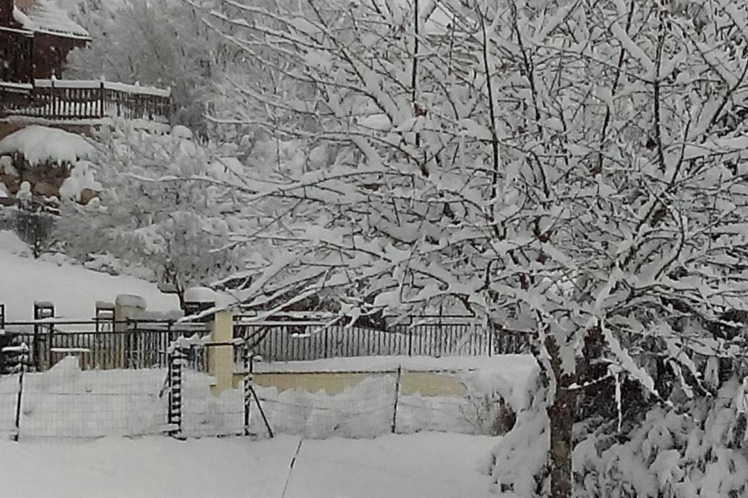 Photo of Others in Saint-Rambert-en-Bugey