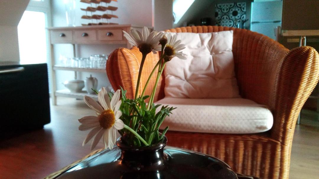 Photo of Livingroom in Saint-Amand-les-Eaux