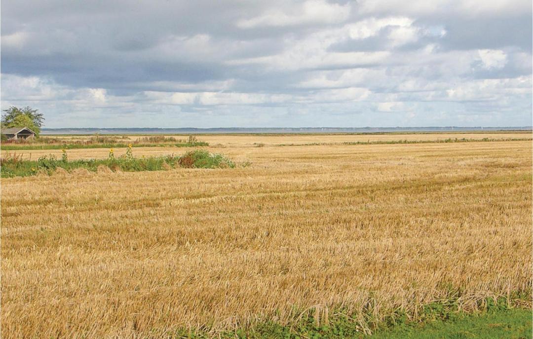 Photo of Others in Ballum