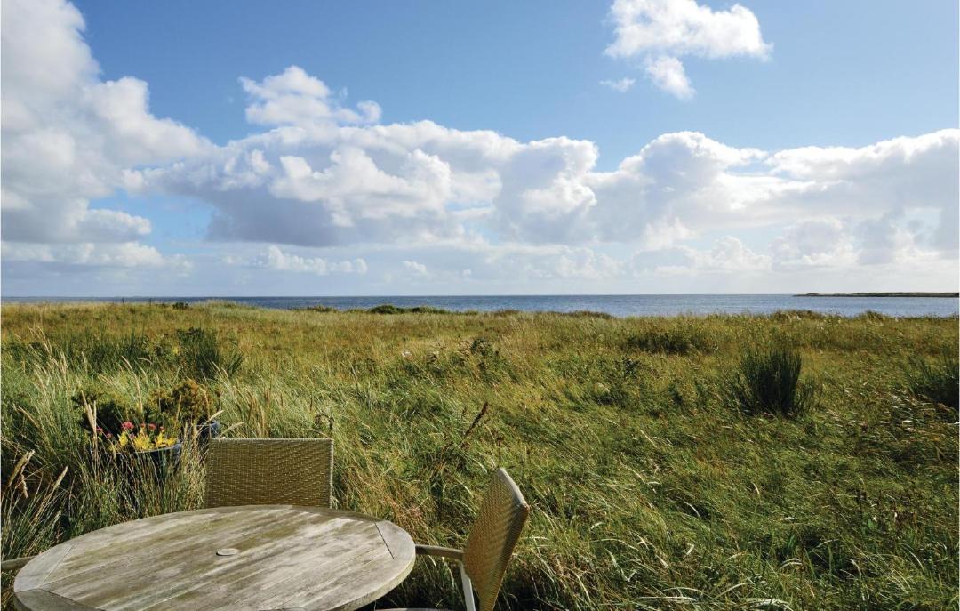 Photo of Others in Hvide Sande