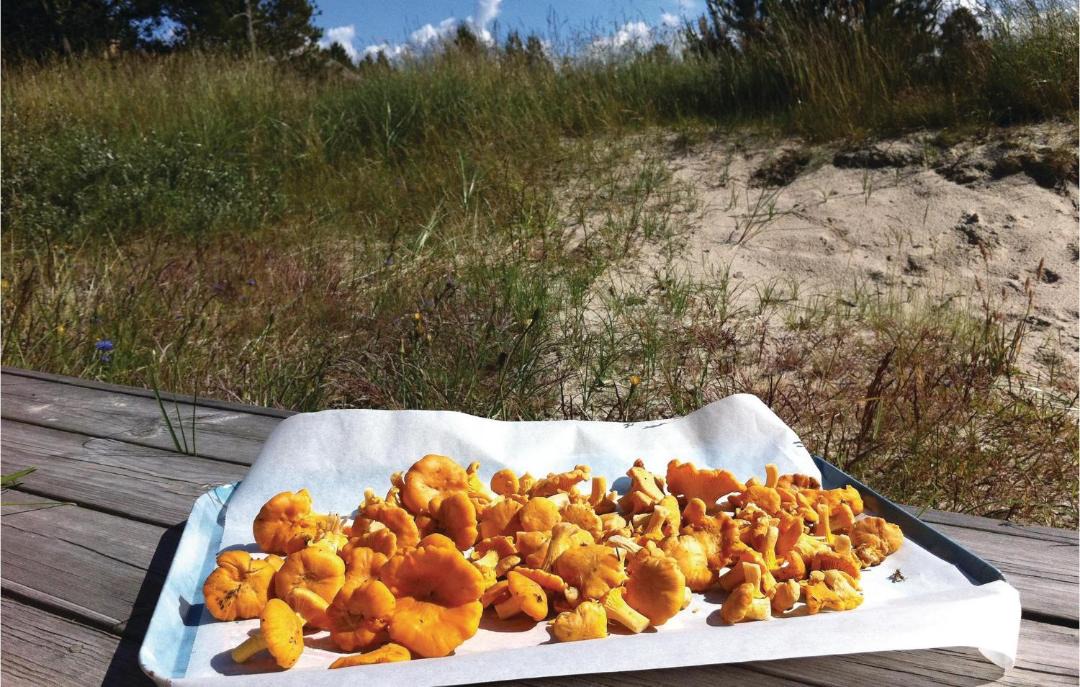 Photo of Others in Skram