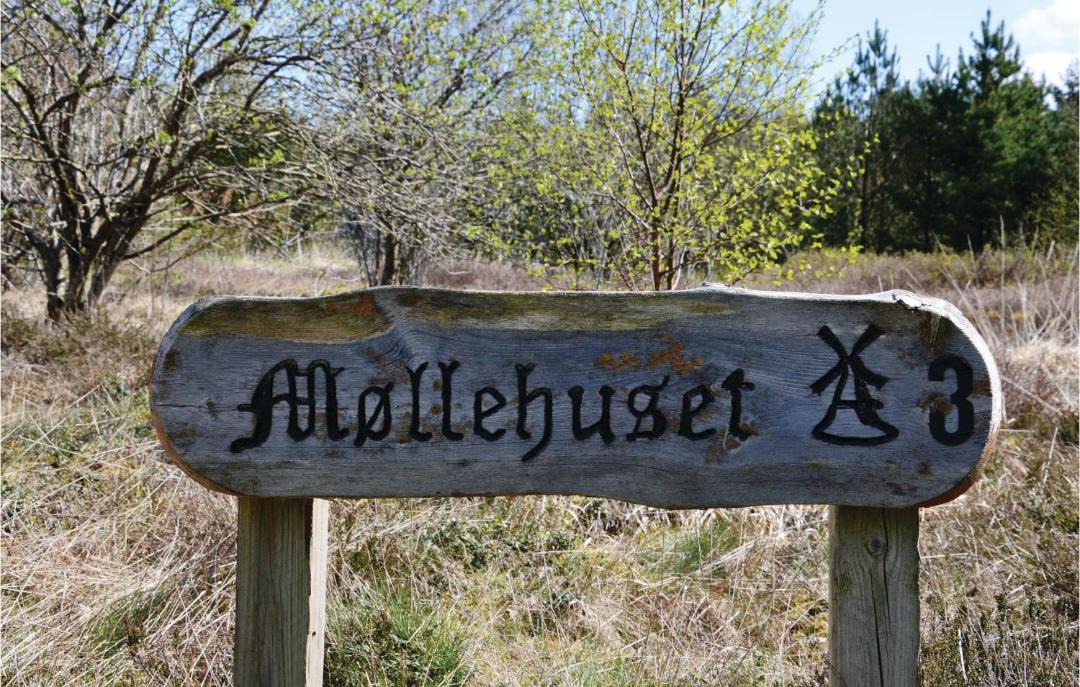 Photo of Others in Skovgaarde