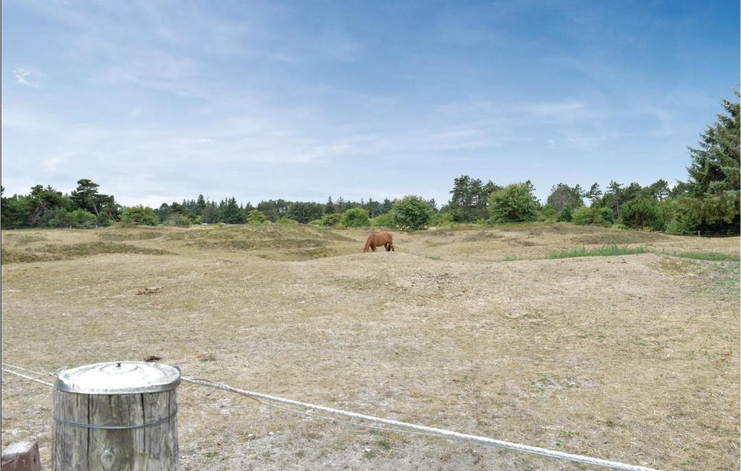 Photo of Others in Rømø Kirkeby